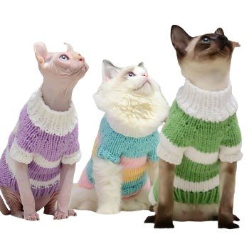Hairless Cats Warm Sweaters
